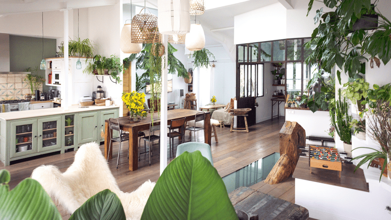 Le Loft Végétal