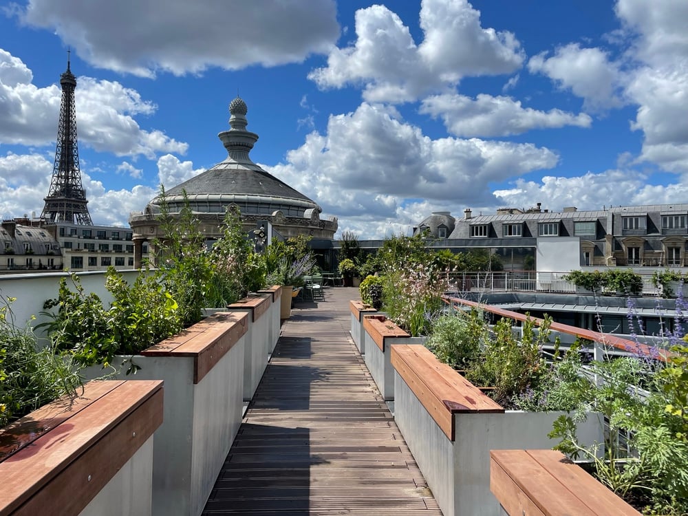 SUMMER PARTY ROOFTOPS