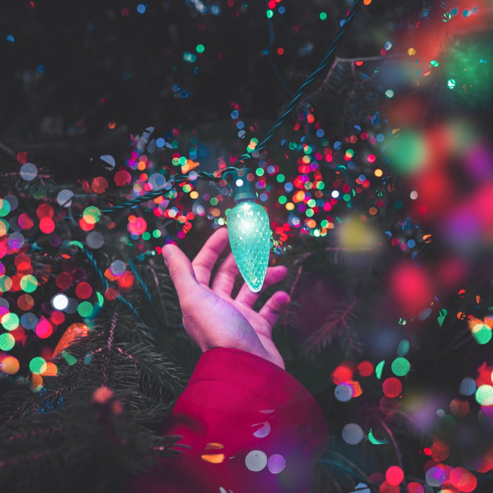 max-bender-485477-unsplash (1)